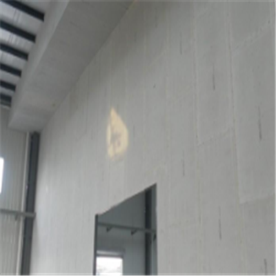 尖扎宁波ALC板|EPS加气板隔墙与混凝土整浇联接的实验研讨